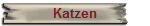 Katzen